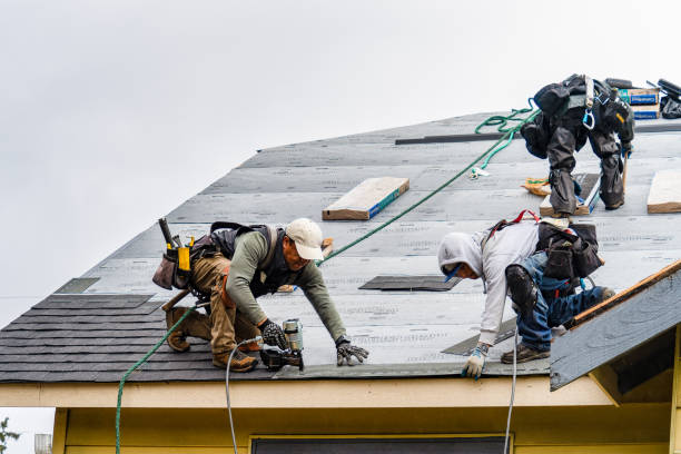 Professional Gutter Installation technician working in Kimball, TN
